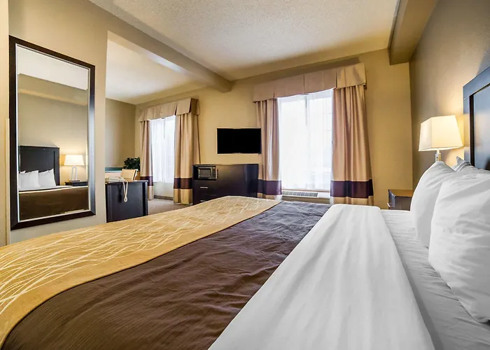 Comfort I-80 4*